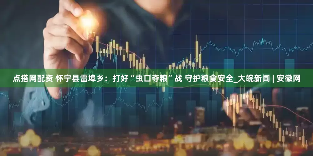 点搭网配资 怀宁县雷埠乡：打好“虫口夺粮”战 守护粮食安全_大皖新闻 | 安徽网