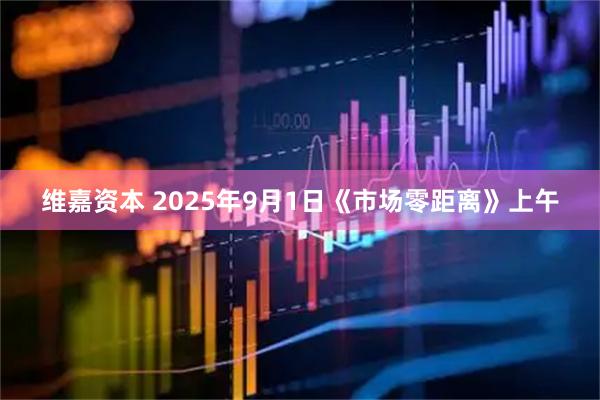 维嘉资本 2025年9月1日《市场零距离》上午
